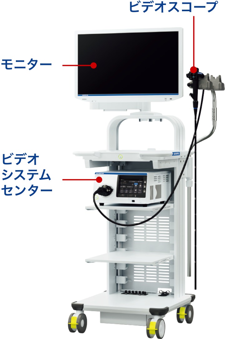 ビデオ内視鏡システム