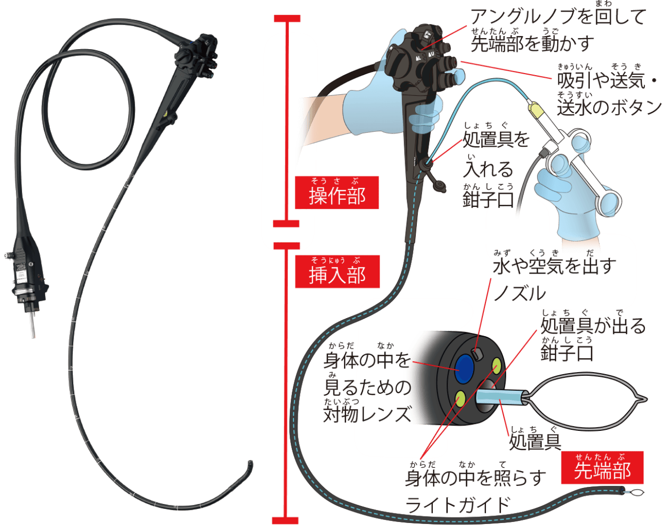 ビデオスコープの構造