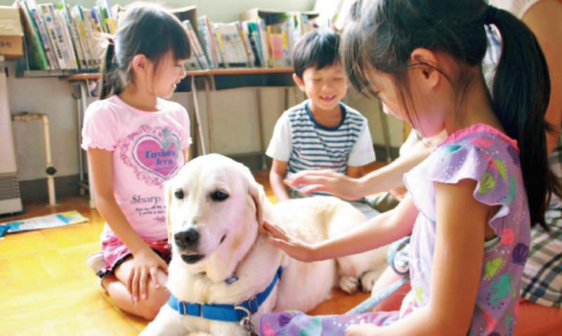 動物介在教育