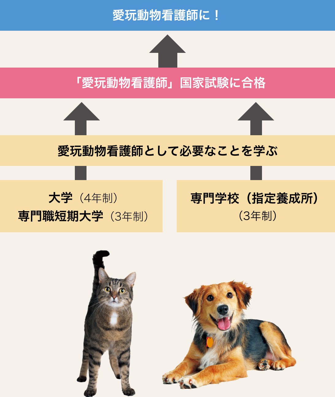 愛玩動物看護師になるには？