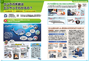 2023年度 おしごと年鑑