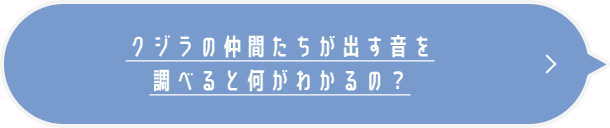 クジラの仲間たちが出す音を調べると何がわかるの?