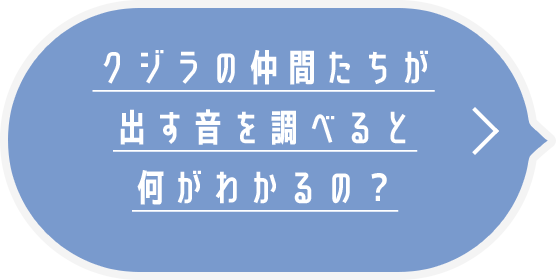 クジラの仲間たちが出す音を調べると何がわかるの?