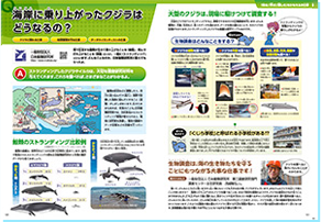 2025年度 おしごと年鑑